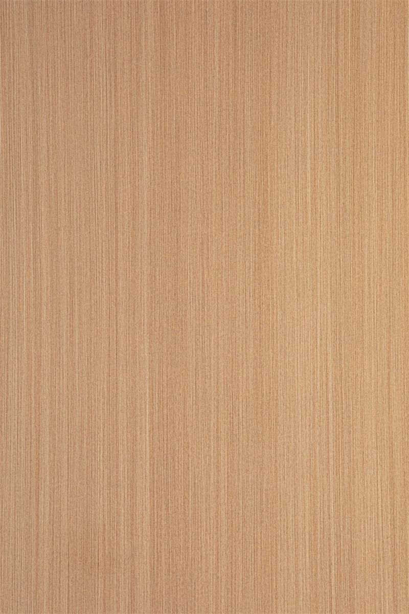 黄橡尤加利
